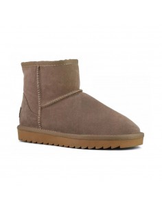 COLORS OF CALIFORNIA...