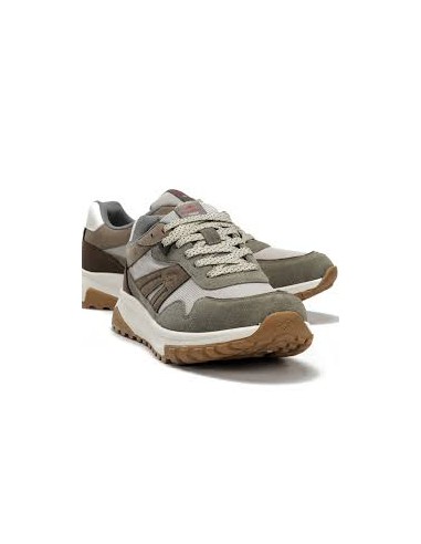 Fluchos Afelapo Tortora  stringata...