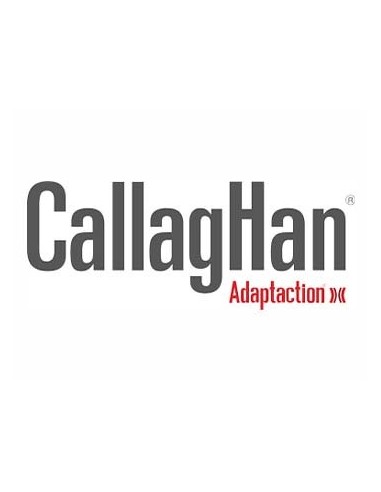CALLAGHAN