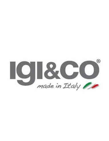 IGI&CO